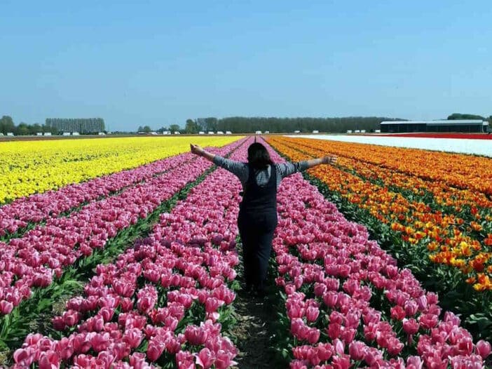 Keukenhof na Holanda – Planejamento completo de Amsterdam