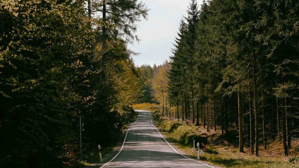 O que ver e coisas divertidas para fazer na Floresta Negra, Alemanha