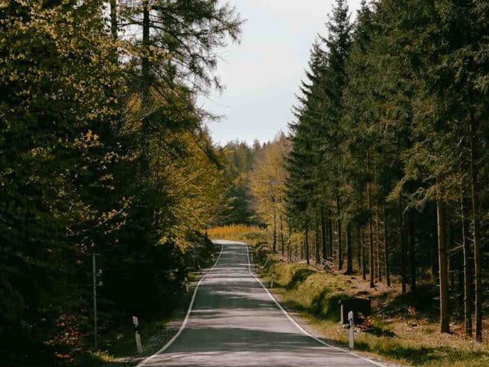 O que ver e coisas divertidas para fazer na Floresta Negra, Alemanha