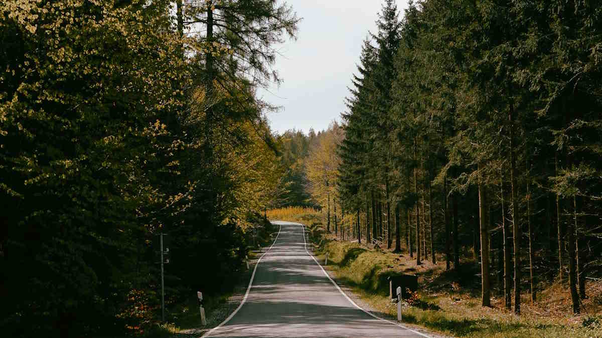 O que ver e coisas divertidas para fazer na Floresta Negra, Alemanha